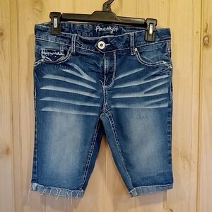 Pine High Distressed Denim Shorts